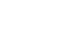 Blue Logo