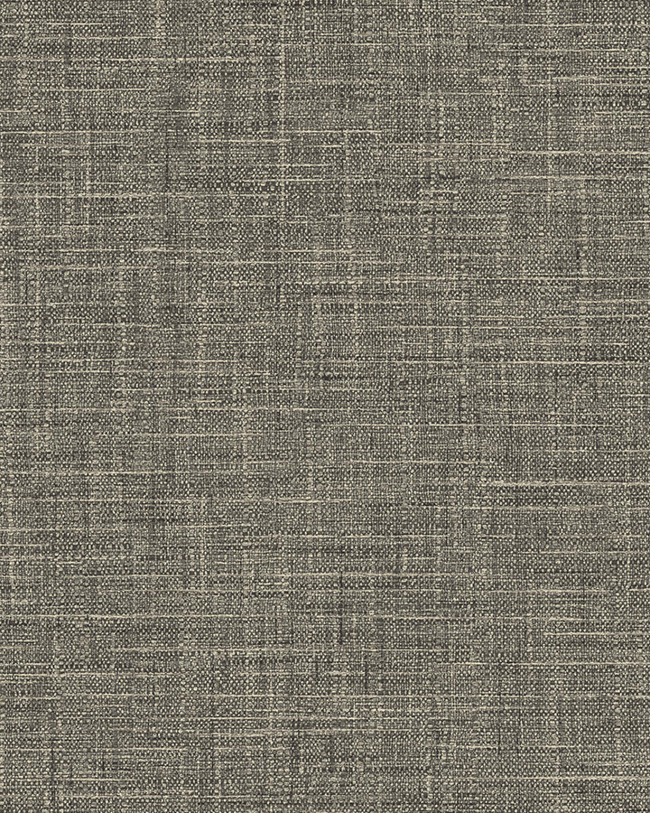 BL50006