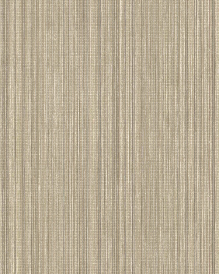 BL50039