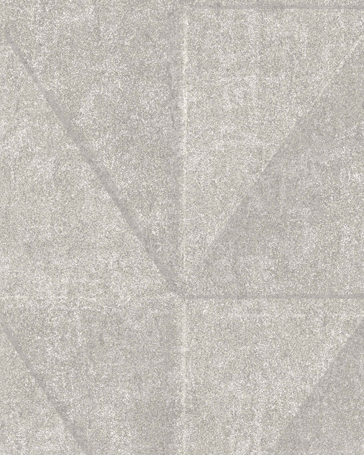 BL50096