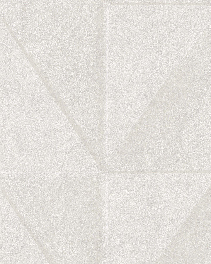 BL50098