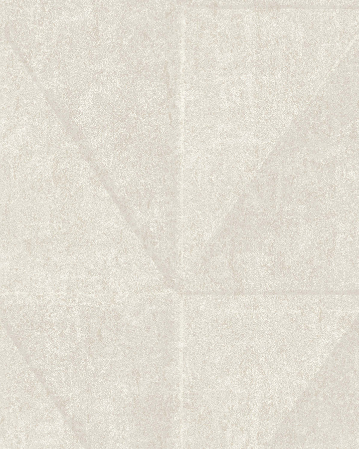 BL50100