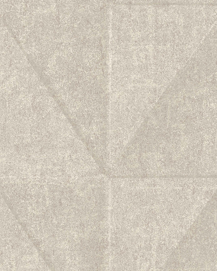 BL50101