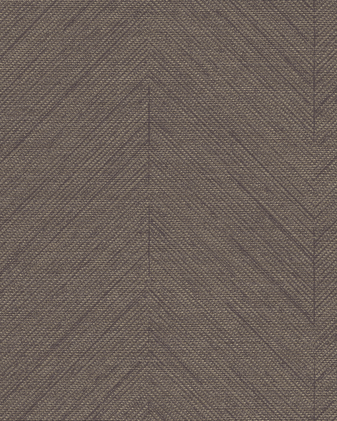 BL50129