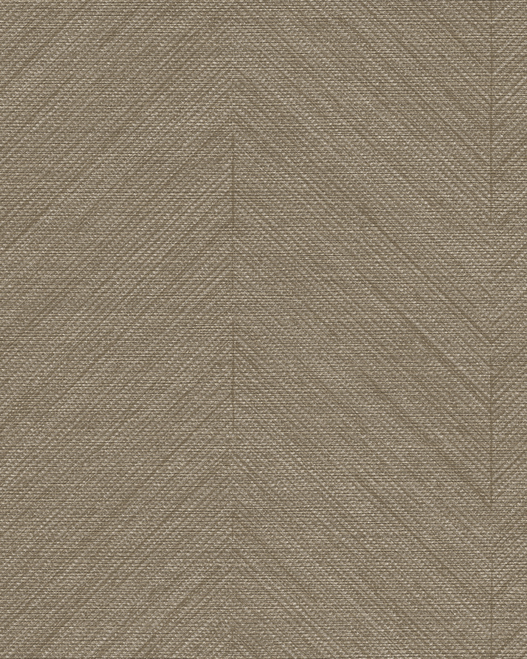 BL50135