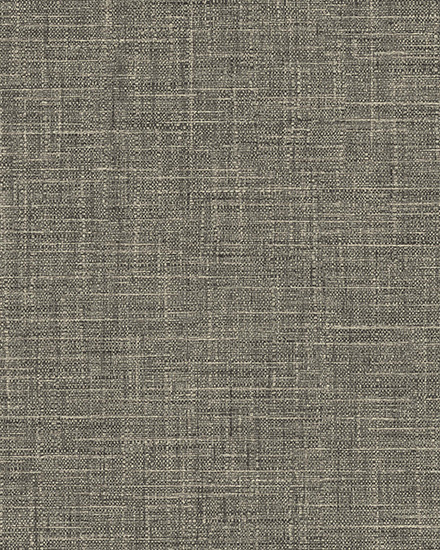 BL50006