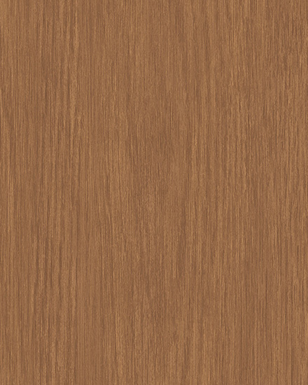 BL50031