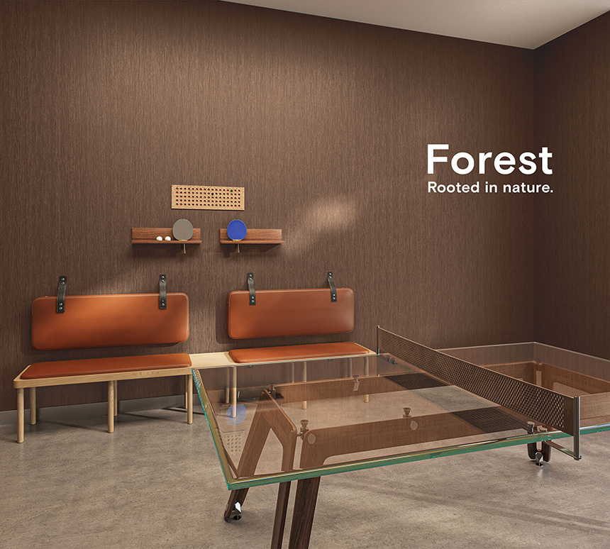 Forest: Rootes in nature.